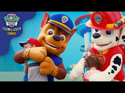 paw patrol be the hero