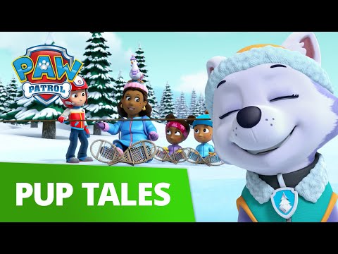 jake and everest paw patrol