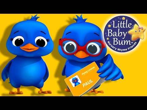 Two Little Dicky Birds | Nursery Rhymes | By LittleBabyBum