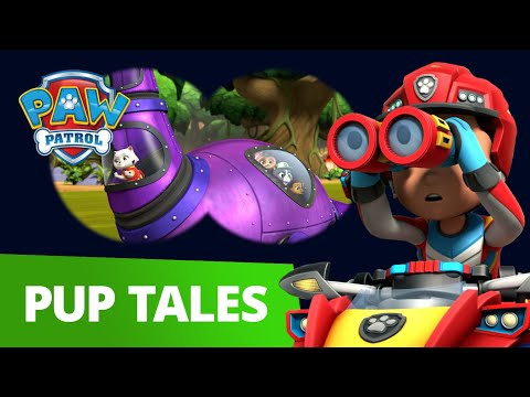 PAW Patrol Dino Rescue Patroller - Unboxing and How To Play - PAW Patrol  Official & Friends 