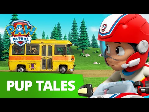 paw patrol driving wheel